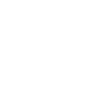 Dainese