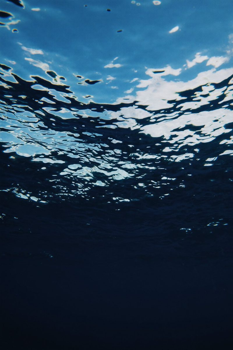 Moodboard: water surface seen from below