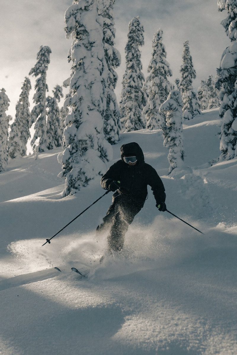Moodboard: skier in deep powder among snowy trees
